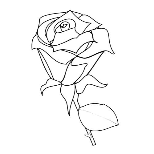 Online coloring book: Simple rose coloring book